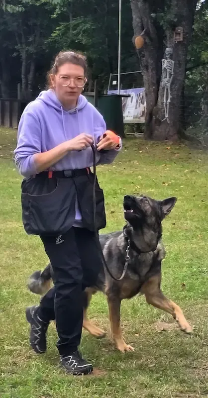 Vereinsleben bei Mein Hund und Ich e.V. – Foto 1