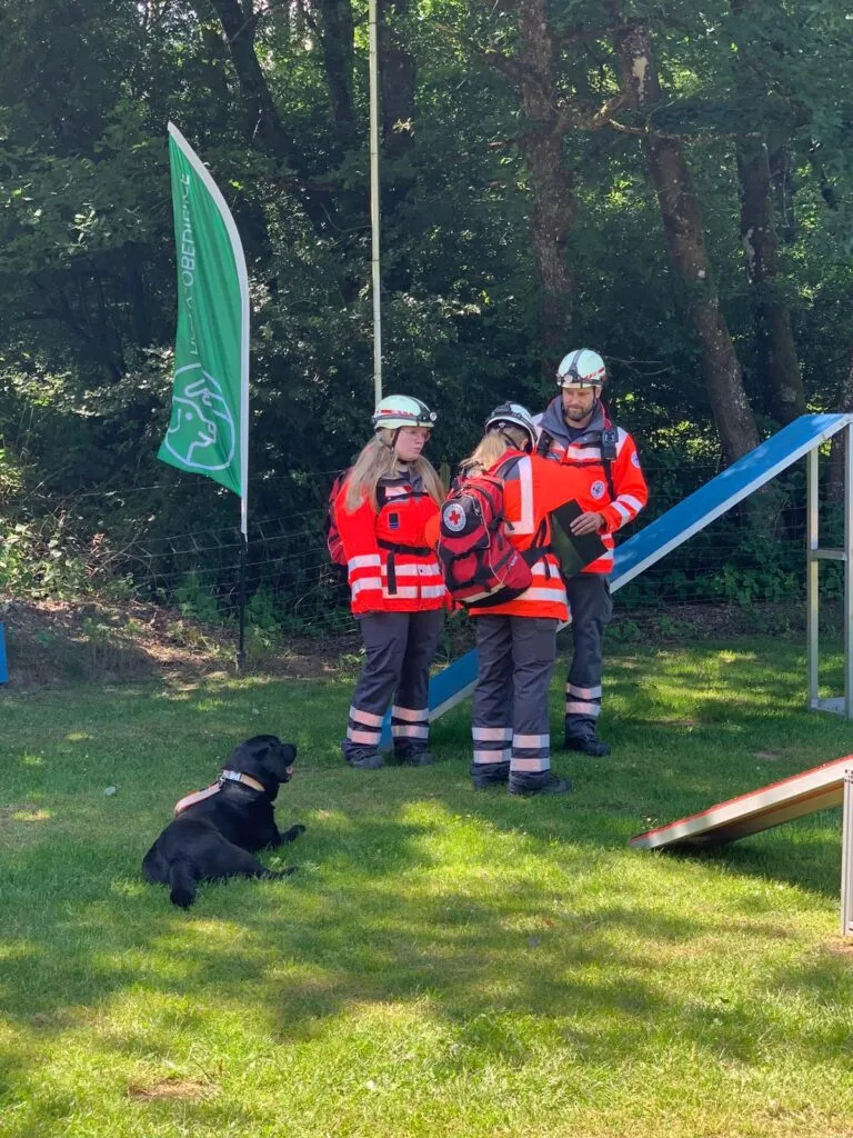 Vereinsleben bei Mein Hund und Ich e.V. – Foto 3