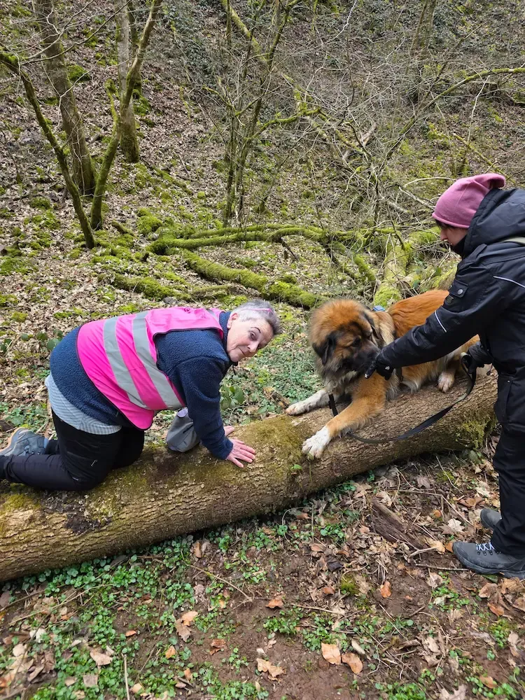 Vereinsleben bei Mein Hund und Ich e.V. – Foto 19