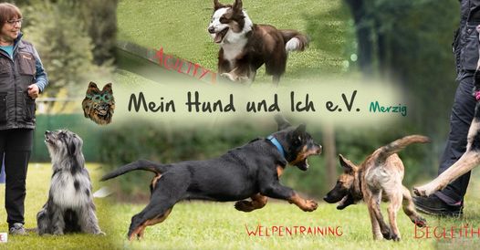 filter efterskrift Efterligning 12.06.22 Tag des Hundes – Mein Hund und Ich e.V.